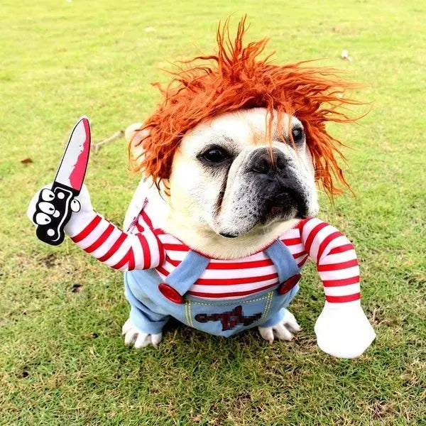 Deadly Doll Pet Costume – Ventayo