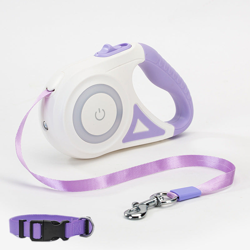 Light Leash and Collar