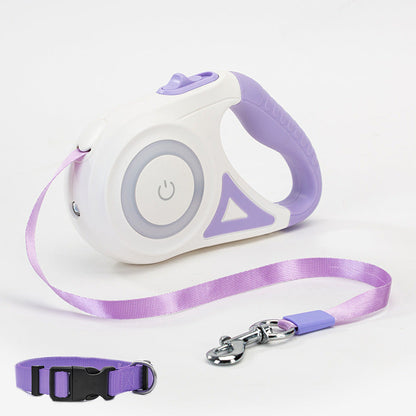 Light Leash and Collar