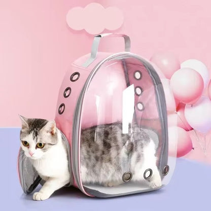 Transporteur d'animaux en capsule spatiale respirante pour chats et chiens