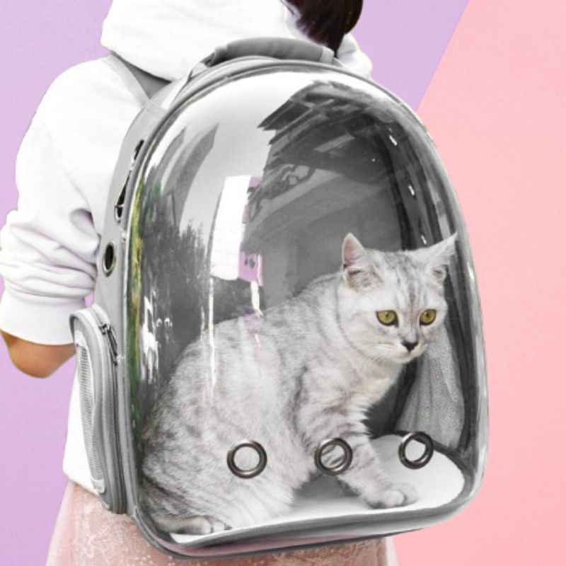 Transporteur d'animaux en capsule spatiale respirante pour chats et chiens