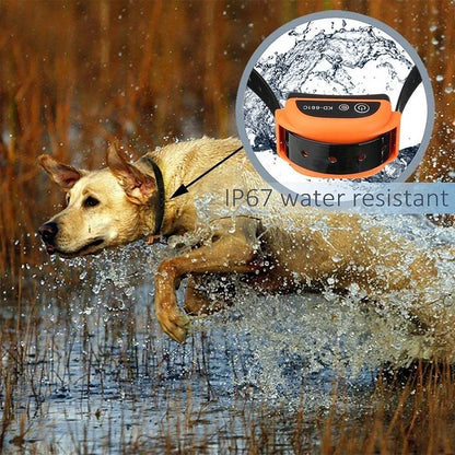 Best Wireless Electric Dog Fence With Shock Collar