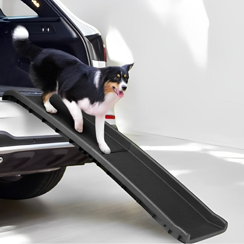 Rampe pliable pour animaux avec surface antidérapante