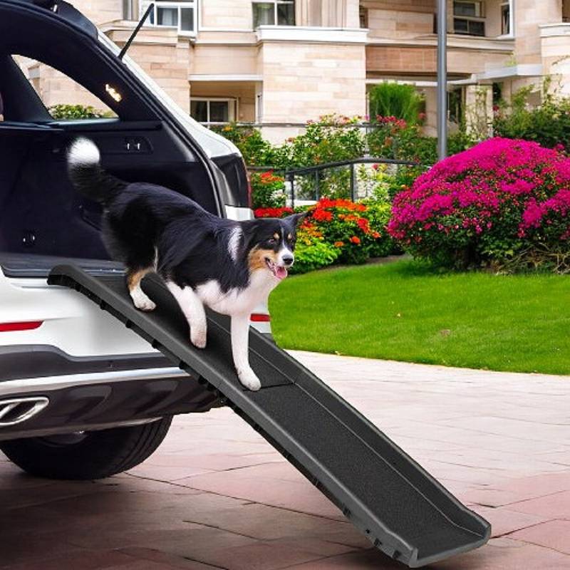 Rampe pliable pour animaux avec surface antidérapante