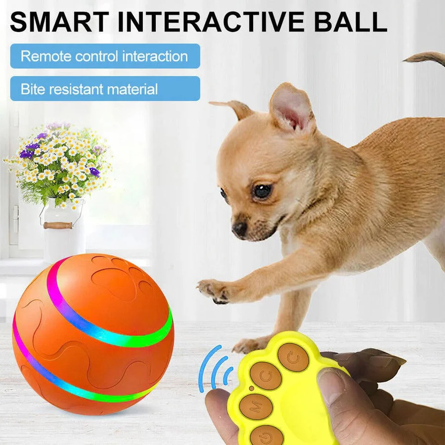 Interactive Dog and Cat Ball Toy | Ventayo