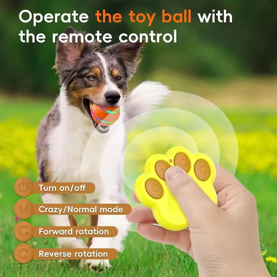 Interactive Dog and Cat Ball Toy | Ventayo