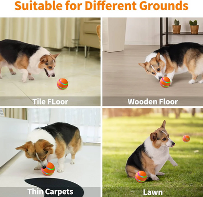 Interactive Dog and Cat Ball Toy | Ventayo