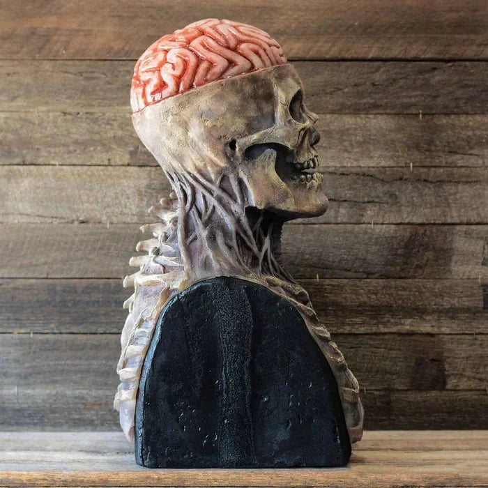 Spooky Biochemical Skeleton Mask – Ventayo
