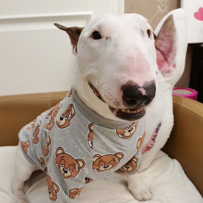 Bear Print Clothing