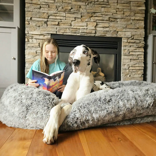 Lit pour chien ovale super grand de luxe pour un sommeil plus profond