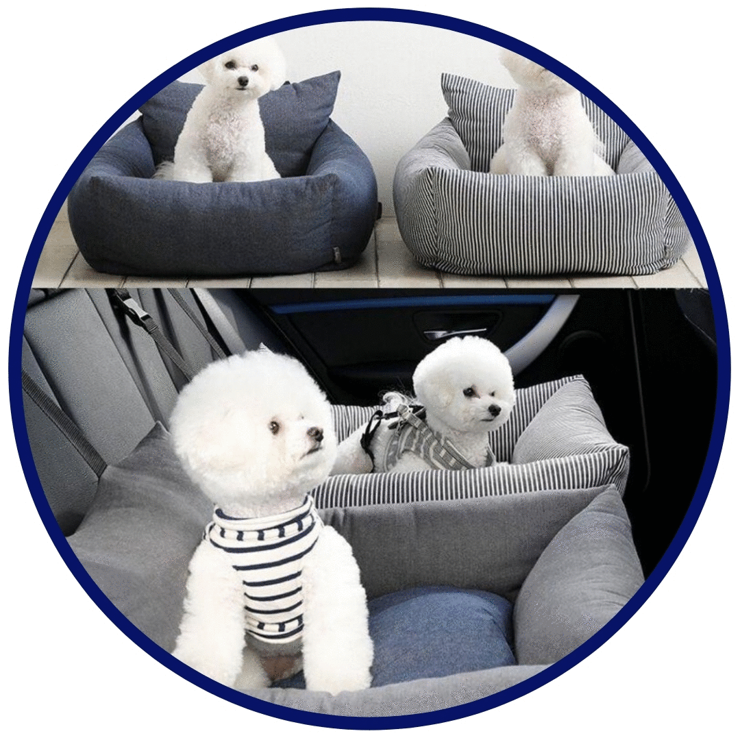 Auto Haustier Sofa