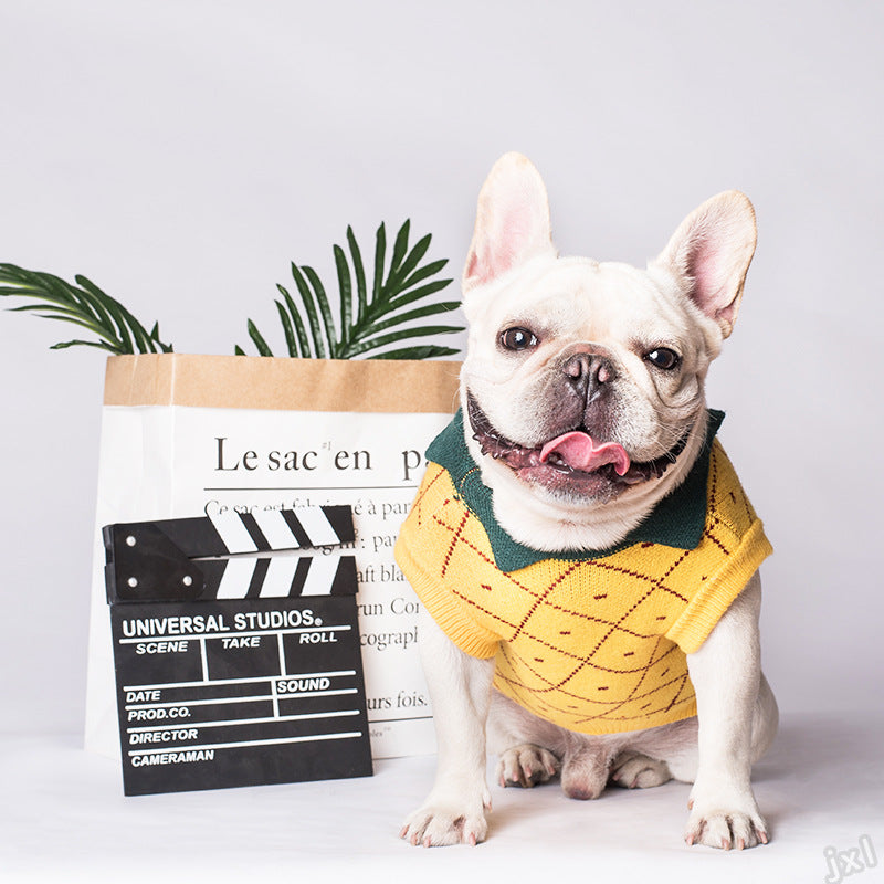 Pull pour animal en ananas