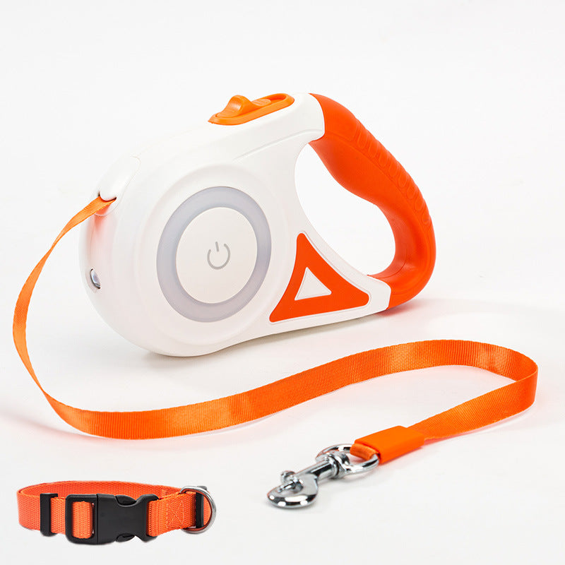 Light Leash and Collar