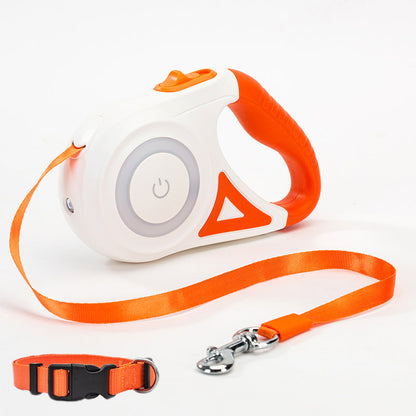 Light Leash and Collar