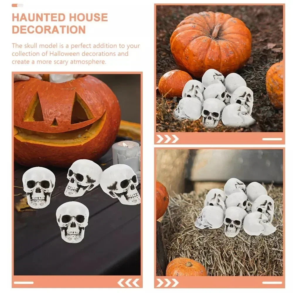 Mini Skeleton Skulls 10 Pack, Halloween Skull Decorations for Tabletop, Skeleton Heads for Halloween Skeleton Decor – Ventayo