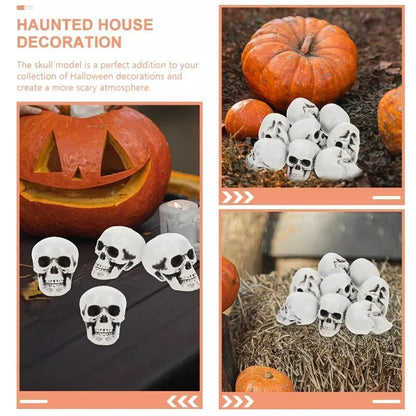 Mini Skeleton Skulls 10 Pack, Halloween Skull Decorations for Tabletop, Skeleton Heads for Halloween Skeleton Decor – Ventayo