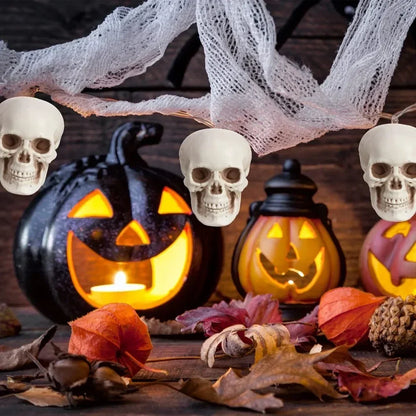 Mini Skeleton Skulls 10 Pack, Halloween Skull Decorations for Tabletop, Skeleton Heads for Halloween Skeleton Decor – Ventayo