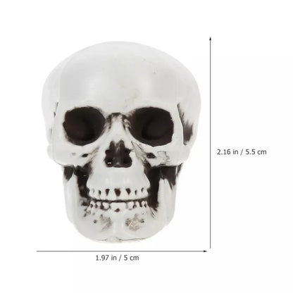Mini Skeleton Skulls 10 Pack, Halloween Skull Decorations for Tabletop, Skeleton Heads for Halloween Skeleton Decor – Ventayo