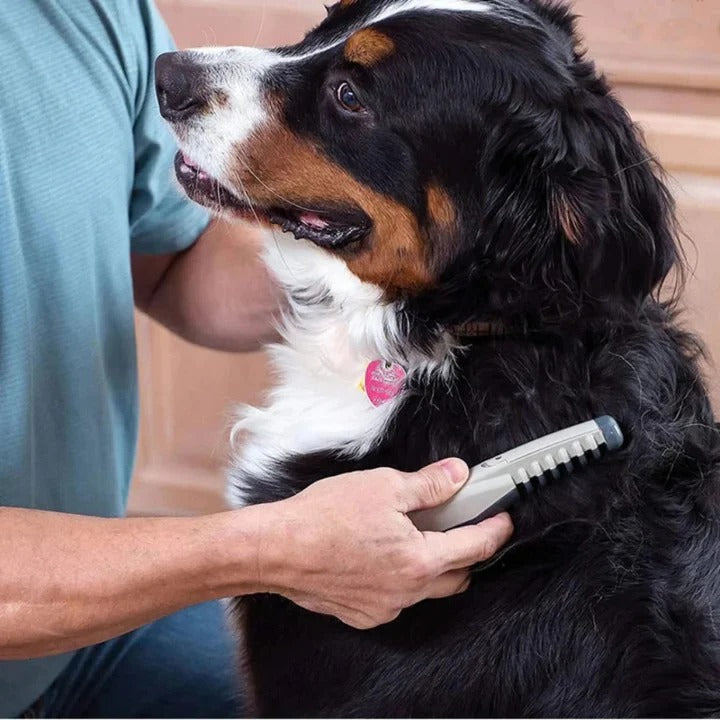 Anti Tangle Pet Grooming Rake For Dogs With Long Hair | Ventayo