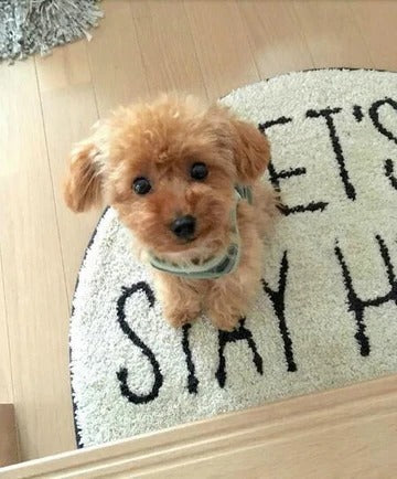 Orso di peluche realistico cane fortunato cucciolo di peluche