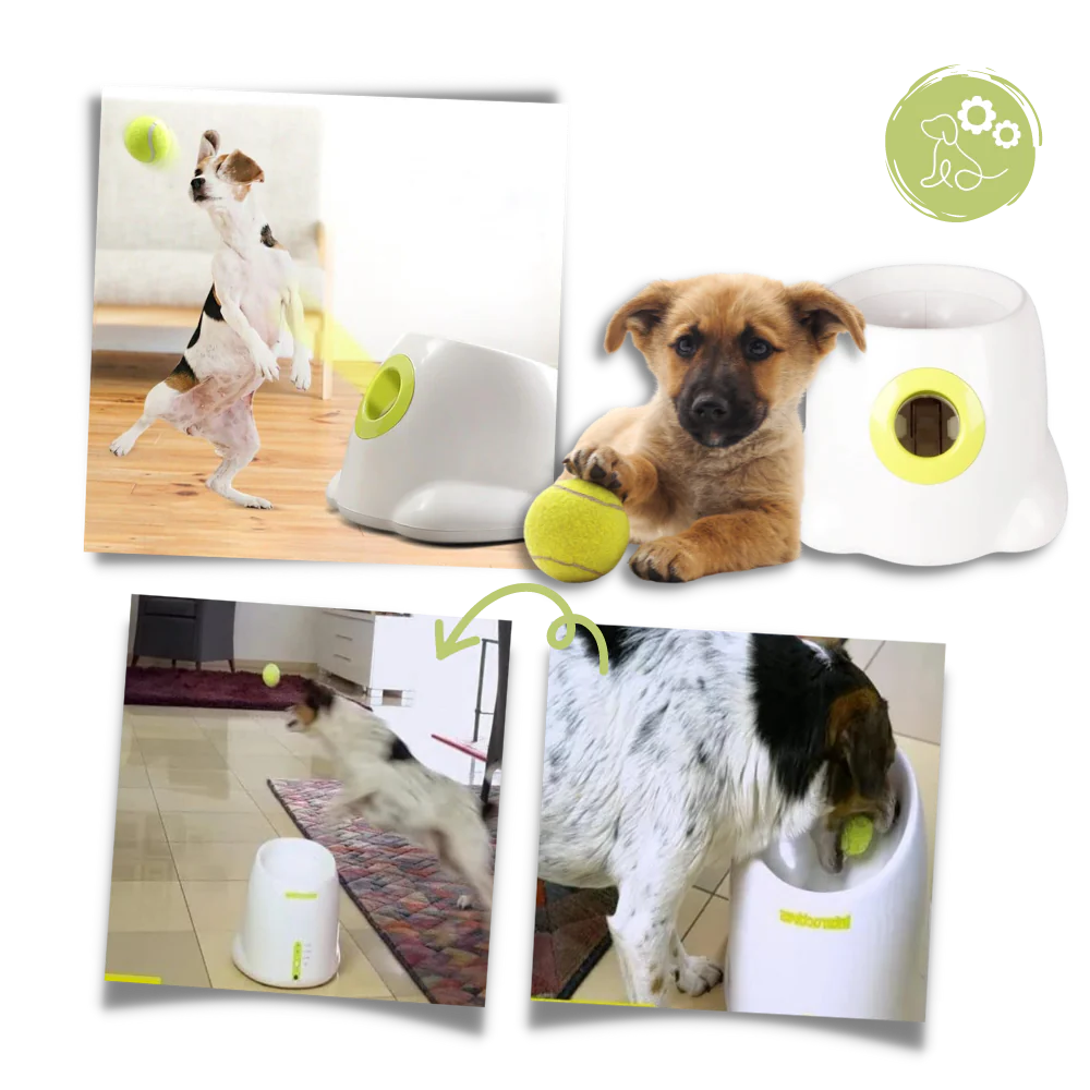 Automatic Dog Ball Launcher