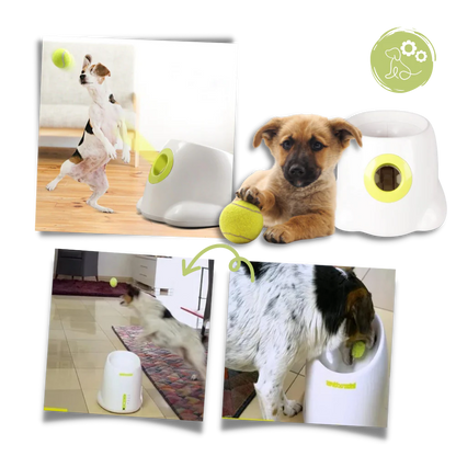 Automatic Dog Ball Launcher