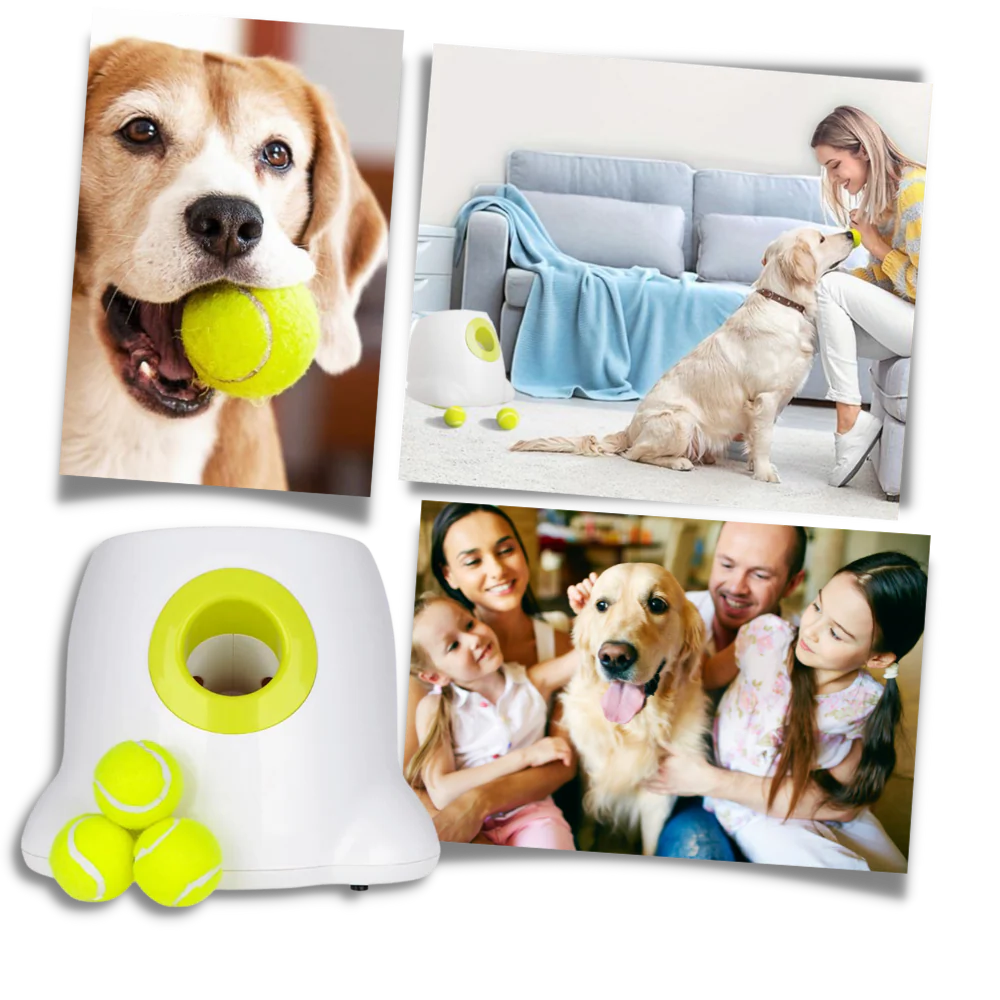 Automatic Dog Ball Launcher