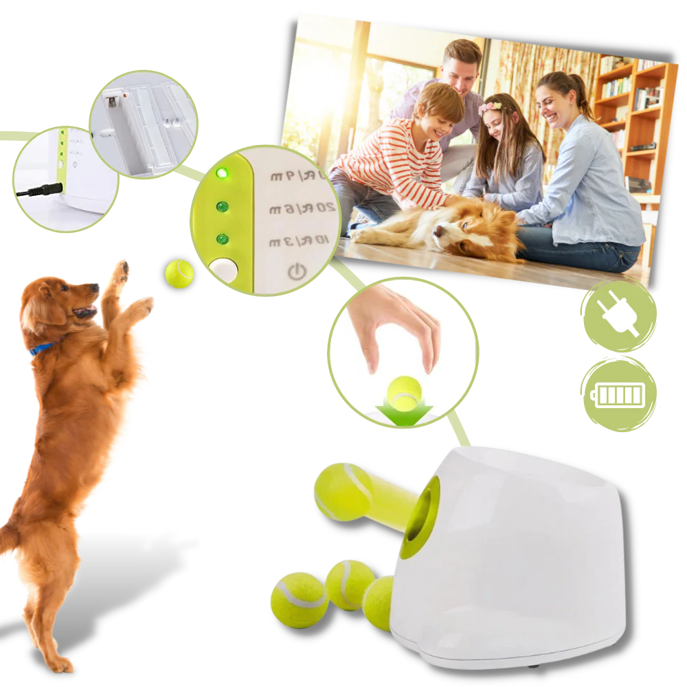 Automatic Dog Ball Launcher