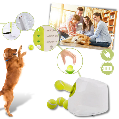 Automatic Dog Ball Launcher