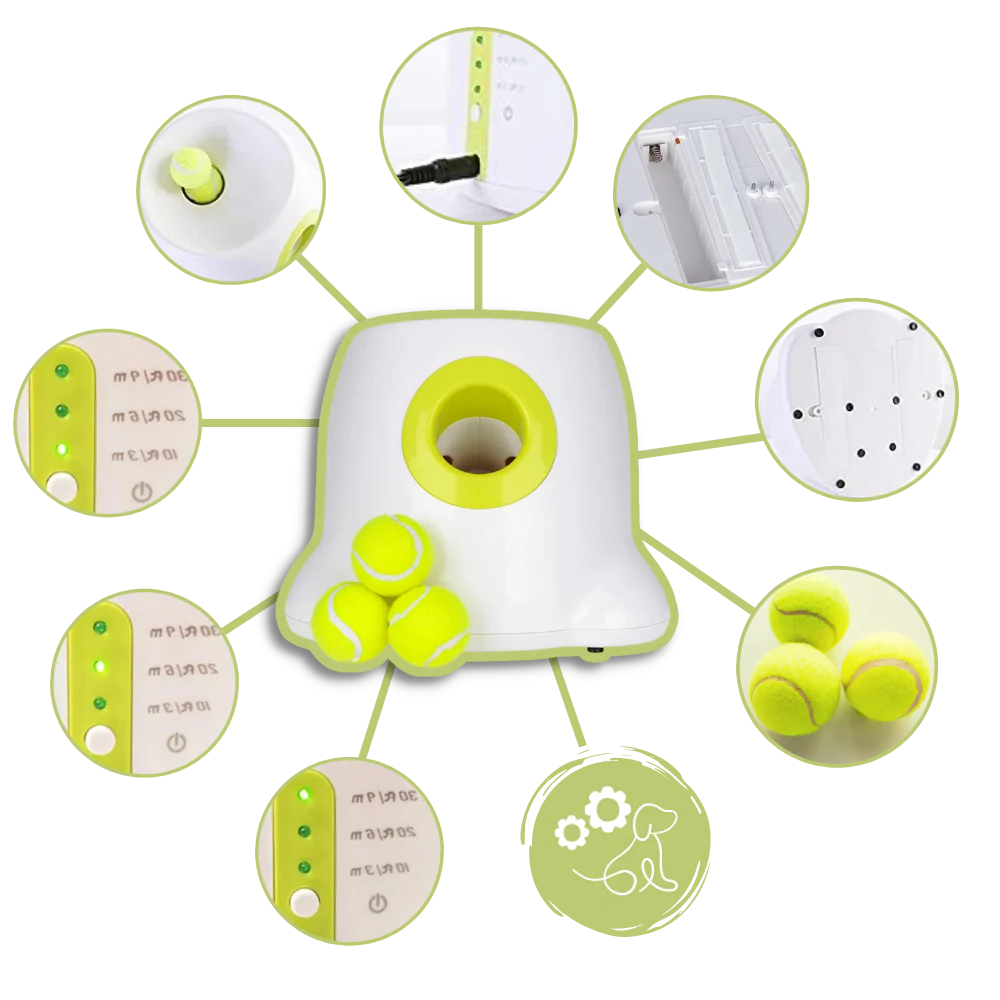 Automatic Dog Ball Launcher