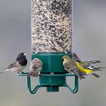 Squirrel-Proof Bird Feeder