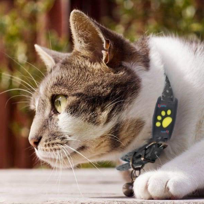 Cat GPS Tracker Locator Device for Pets