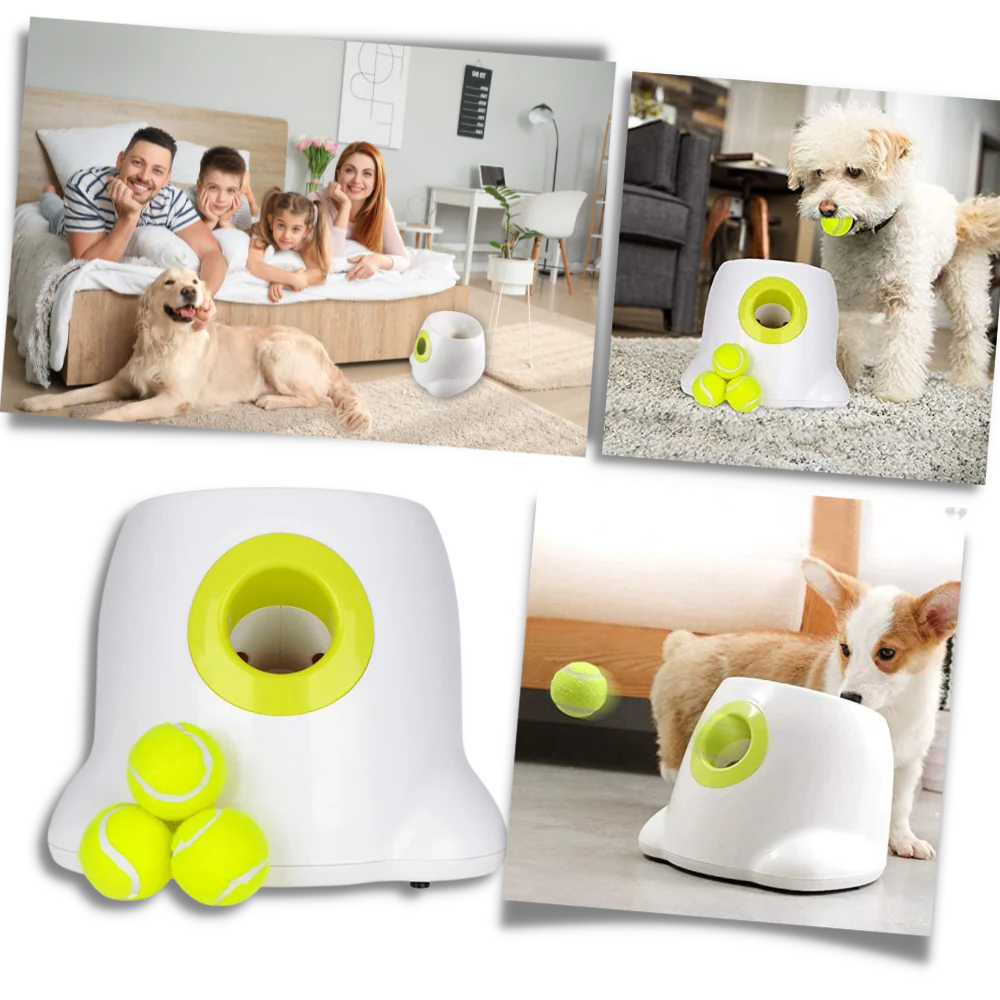 Automatic Dog Ball Launcher