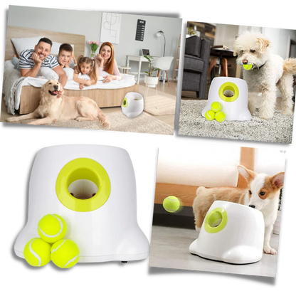 Automatic Dog Ball Launcher