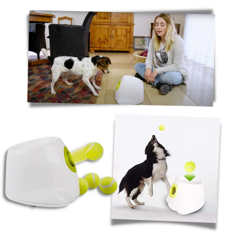 Automatic Dog Ball Launcher