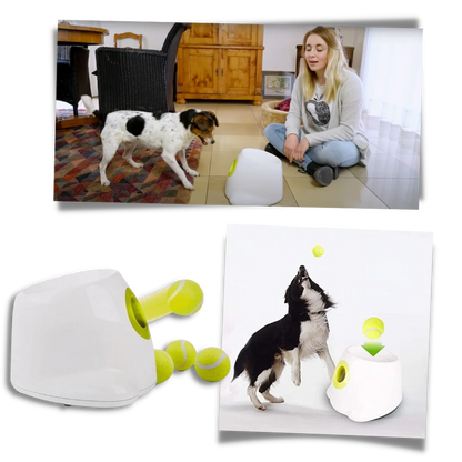Automatic Dog Ball Launcher
