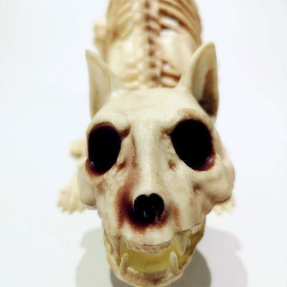 Skeleton Pet Figurines – Ventayo