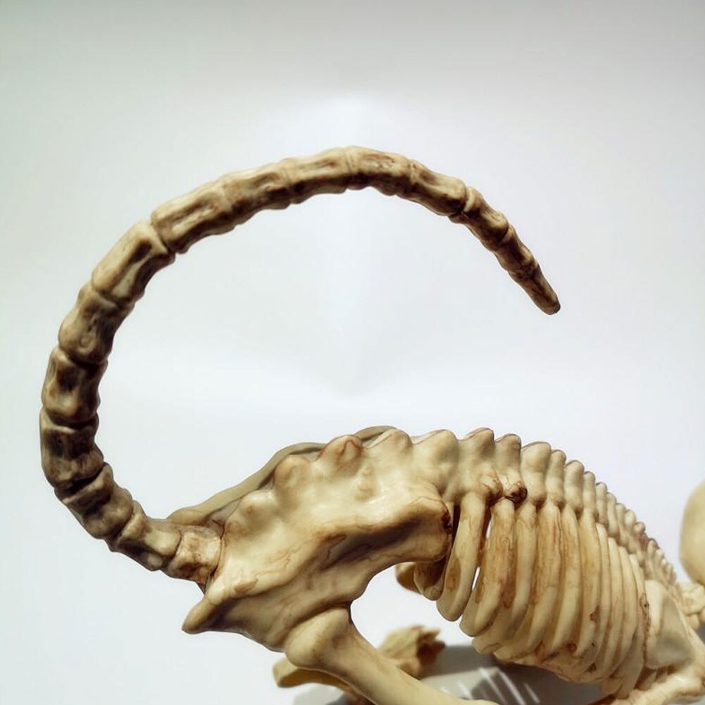 Skeleton Pet Figurines – Ventayo