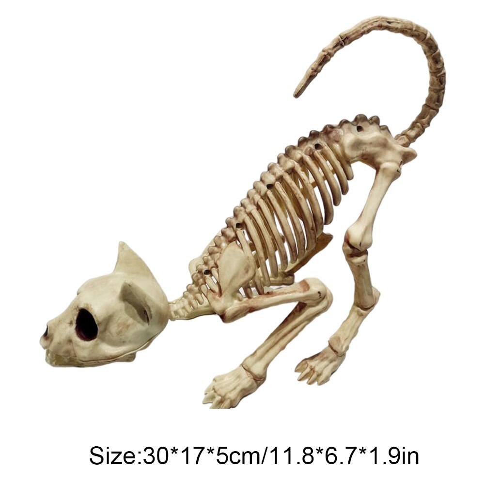 Skeleton Pet Figurines – Ventayo