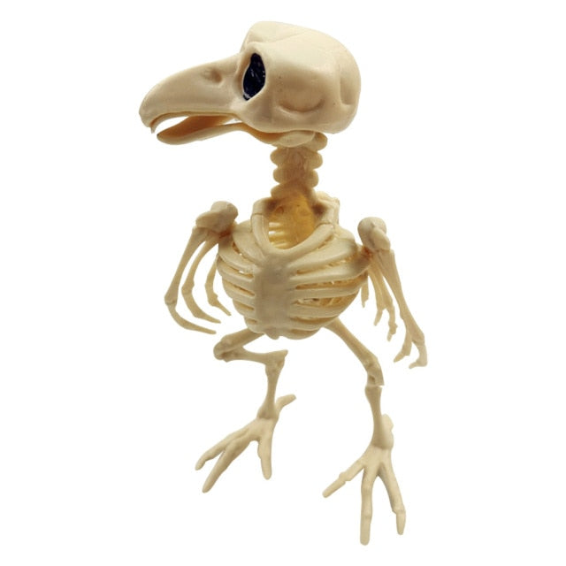 Skeleton Pet Figurines – Ventayo