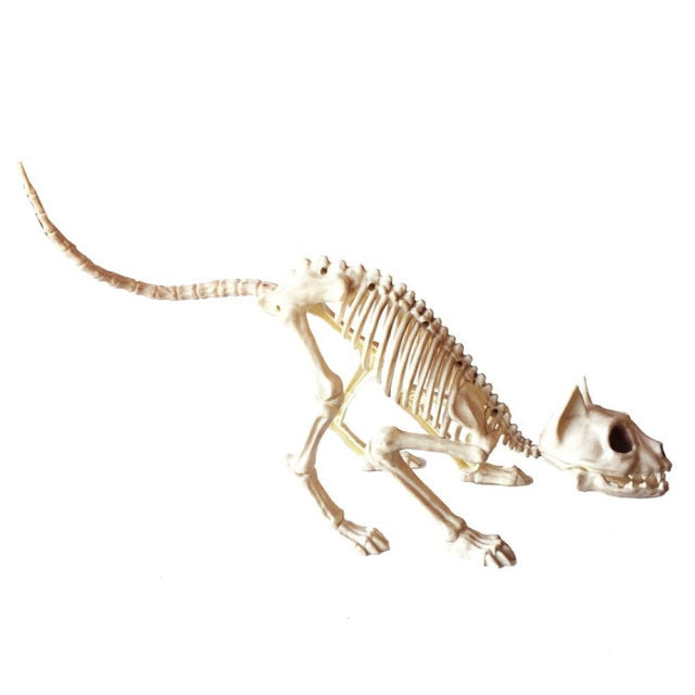 Skeleton Pet Figurines – Ventayo