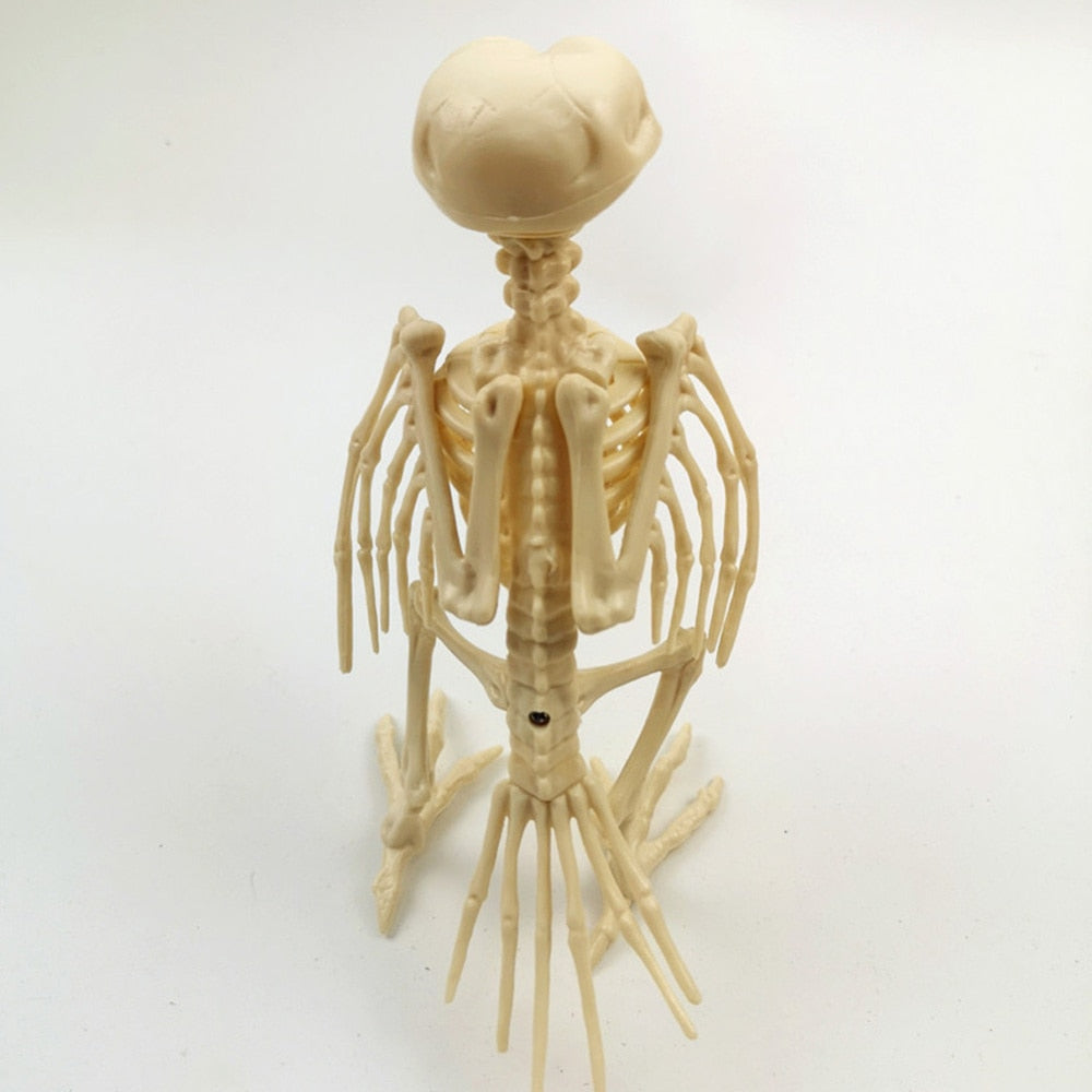 Skeleton Pet Figurines – Ventayo