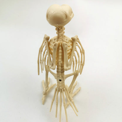 Skeleton Pet Figurines – Ventayo
