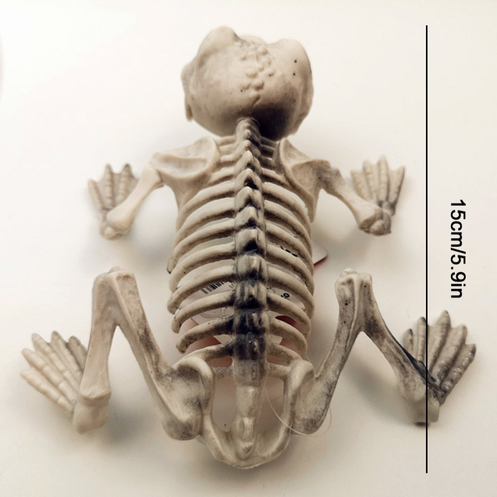Skeleton Pet Figurines – Ventayo