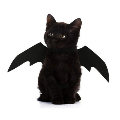 Pet Costume Bat Wing – Ventayo