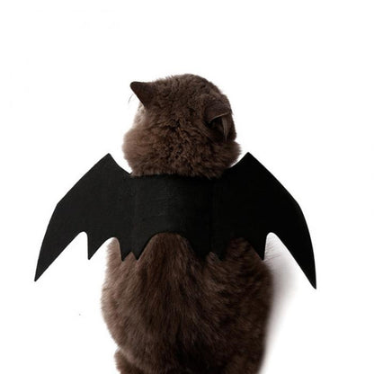 Pet Costume Bat Wing – Ventayo