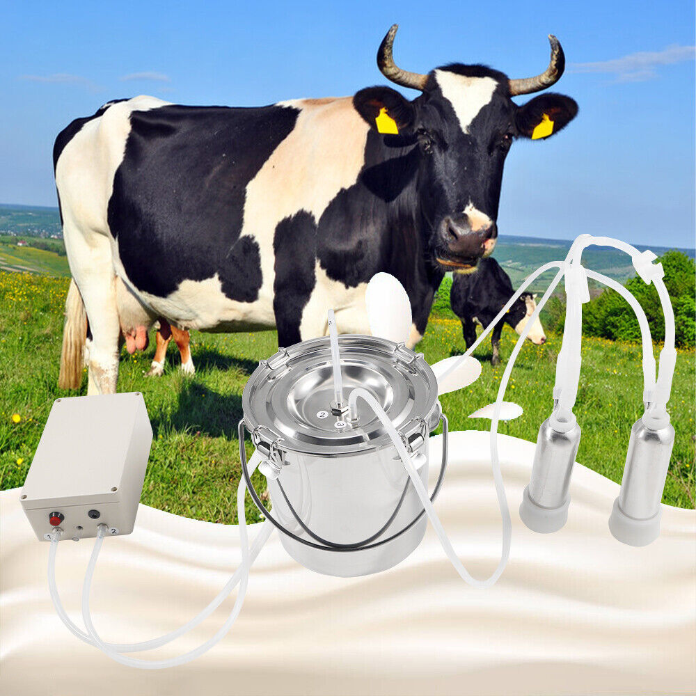 Machine de traite par aspiration pour vaches / chèvres, équipement robuste 6L