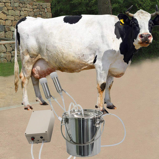 Machine de traite par aspiration pour vaches / chèvres, équipement robuste 6L
