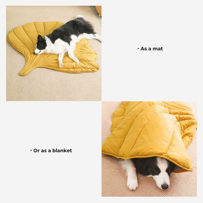 Gezellig Bladvormig Hondenkleed