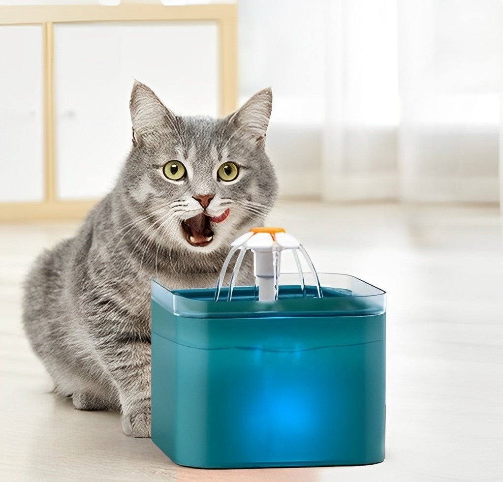 Fontaine à eau potable premium pour chat